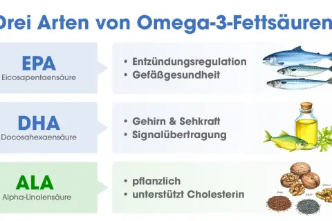 Drei Omega-3-Fettsäuren: EPA für Entzündungen, DHA für Gehirn & Sehkraft, ALA pflanzlich. Was ist DHA? Wichtig für Gehirn und Augen.