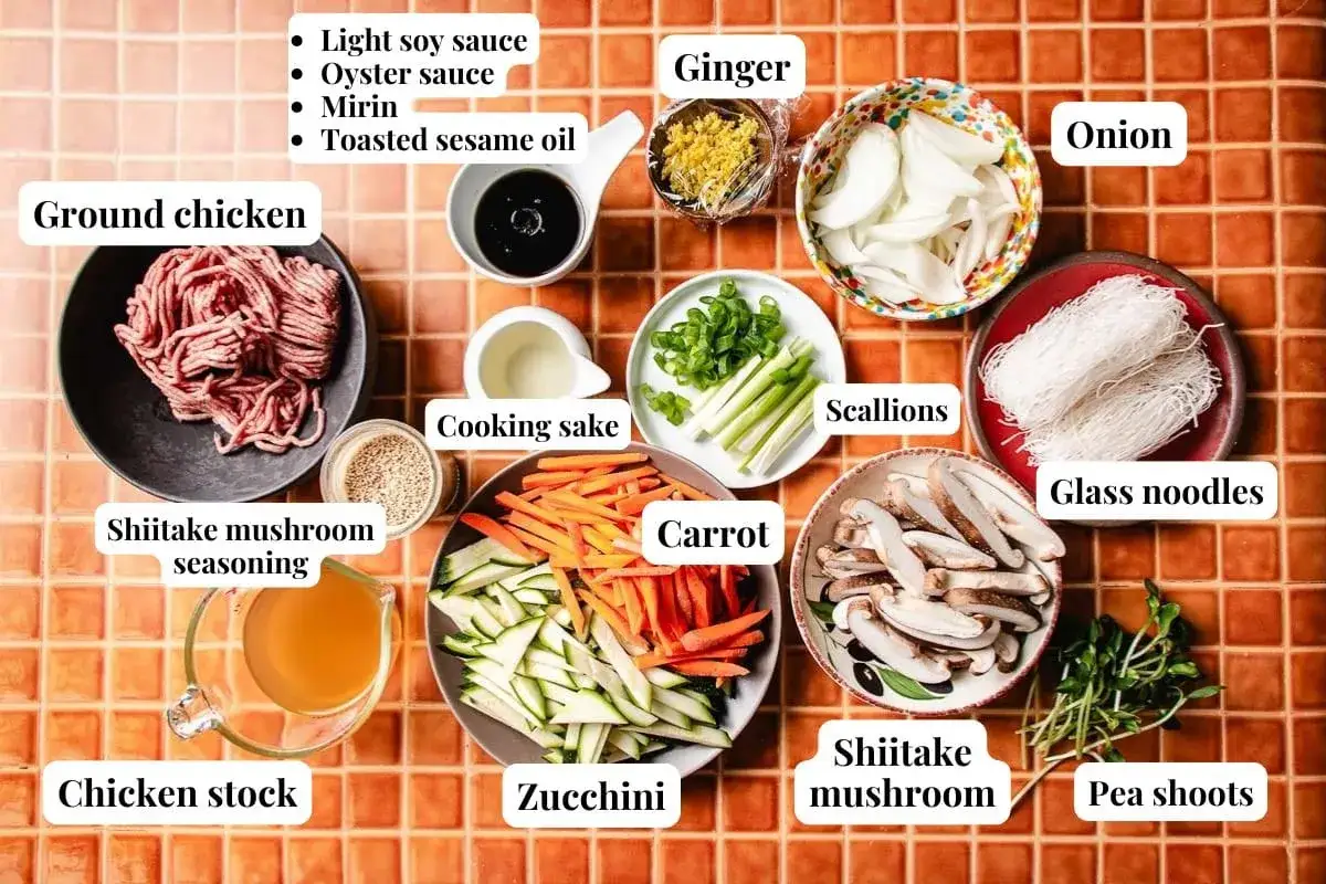 Zutaten f&uuml;r ein Glasnudel Rezept: Hackfleisch, Gem&uuml;se, Pilze, Glasnudeln, Sojasauce, Ingwer, Fr&uuml;hlingszwiebeln, H&uuml;hnerbr&uuml;he.