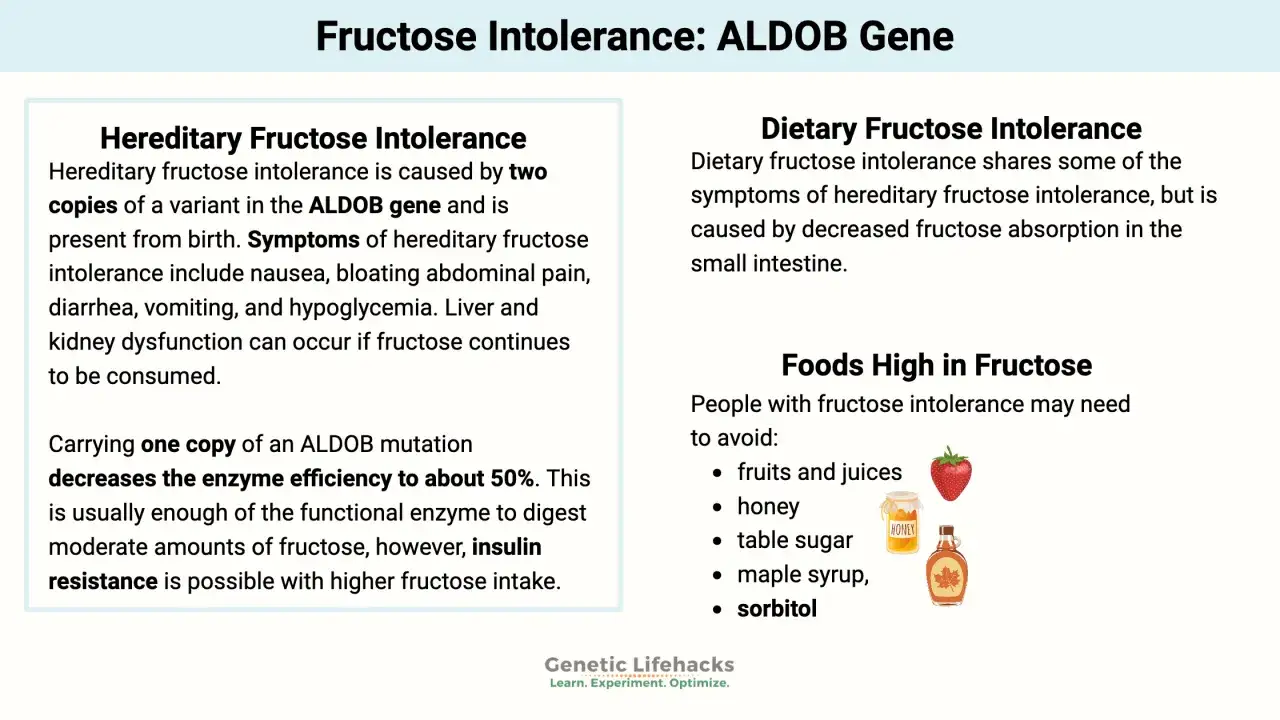 Fructoseintoleranz symptome wie &Uuml;belkeit, Bl&auml;hungen, Durchfall und Erbrechen k&ouml;nnen bei heredit&auml;rer Fruktoseintoleranz auftreten.